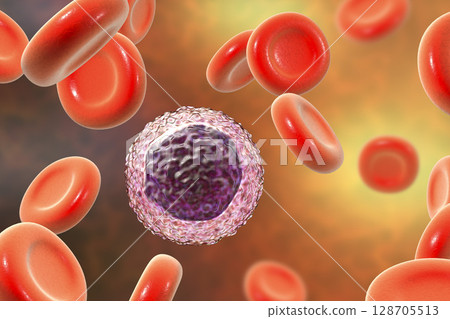 Lymphocyte surrounded by red blood cells 128705513