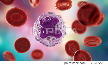 A 3D illustration revealing the intricate inner structure of a monocyte cell 128705519