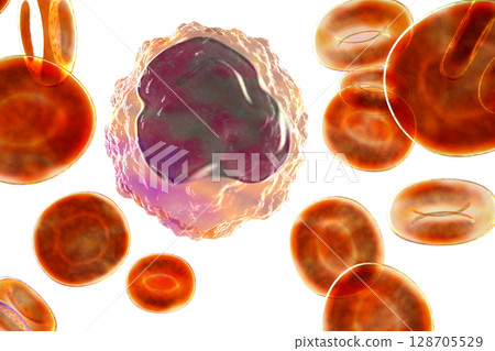 Monocyte surrounded by red blood cells Monocyte surrounded by red blood cells 128705529