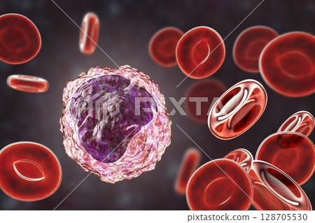 Monocyte surrounded by red blood cells 128705530