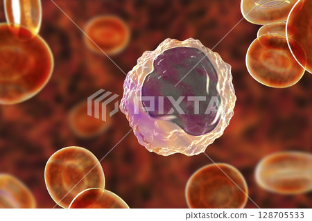 Monocyte surrounded by red blood cells Monocyte surrounded by red blood cells 128705533
