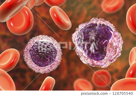 Lymphocyte and monocyte surrounded by red blood cells 128705540
