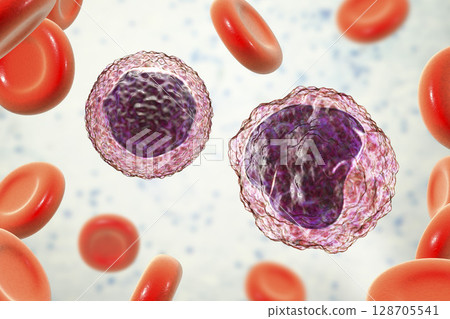 Lymphocyte and monocyte surrounded by red blood cells Lymphocyte and monocyte surrounded by red blood cells 128705541