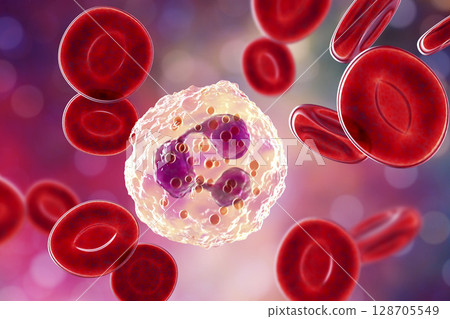 Neutrophil, a white blood cell Neutrophil, a white blood cell 128705549