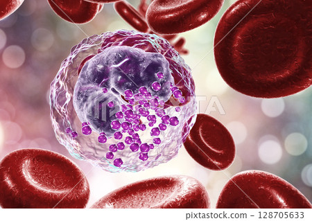 Basophil, a white blood cell 128705633