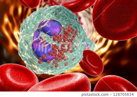 Eosinophil in blood, a white blood cell Eosinophil in blood, a white blood cell 128705634
