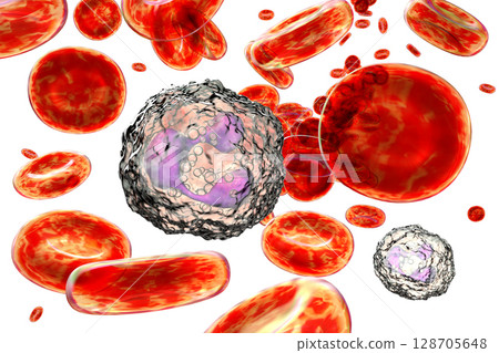 Neutrophil, a white blood cell Neutrophil, a white blood cell 128705648