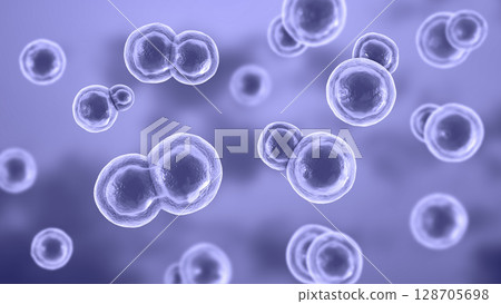 Blastomyces dermatitidis fungi Blastomyces dermatitidis fungi 128705698