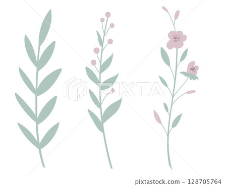 Vector illustration of pastel floral stems with leaves and flowers. Art of plants for botanical prints or children designs. Drawing of herbs for wedding invitations or baby shower greeting cards. Vector illustration of pastel floral stems with leaves and flowers. Art of plants for botanical prints or children designs. Drawing of herbs for wedding invitations or baby shower greeting cards. 128705764