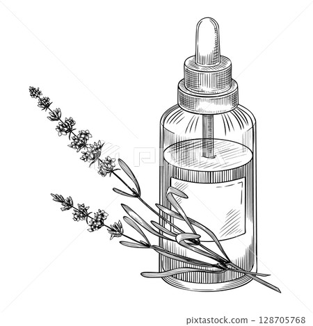 Glass dropper bottle with lavender sprigs and rosemary leaves in linear drawing. Outline vector illustration of essential oil for medicine designs or aromatherapy. Etching painted by black inks. 128705768