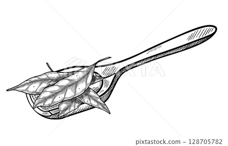 Vector illustration of a wooden Scoop with Bay and peppermint leaves for Herb packaging, culinary label design. Outline drawing painted by black inks in vintage botanical style for cookery book. Vector illustration of a wooden Scoop with Bay and peppermint leaves for Herb packaging, culinary label design. Outline drawing painted by black inks in vintage botanical style for cookery book. 128705782