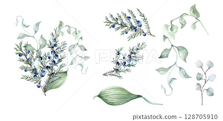 Watercolor delicate clipart of juniper branches isolated. Foliage of curly vine and twigs hand drawn in sage green. Greenery set of leaves, coniferous for nature design, wedding stationary. 128705910