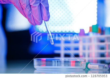 A medical professional, laboratory assistant, doctor performs an analysis in a laboratory, uses test tubes, a pipette and a petri dish for the presence of bacteria in the human body. Selective focus 128705953