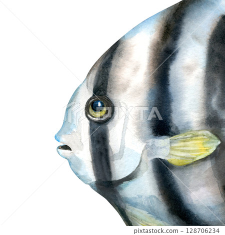 Close-up of a tropical fish face with black and white stripes. Realistic watercolor illustration in soft, cool blue-gray tones for marine-themed designs, educational materials, aquarium branding. Close-up of a tropical fish face with black and white stripes. Realistic watercolor illustration in soft, cool blue-gray tones for marine-themed designs, educational materials, aquarium branding. 128706234