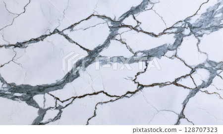 White Marble with Dramatic Dark Veins for Luxury Designs 128707323