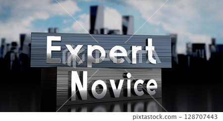Expert, novice - metal blocks and skyscrapers - 3D illustration 128707443
