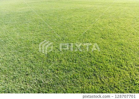 草坪遍布各處 草坪遍布各處 128707701