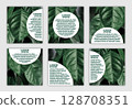 Set of banners with space for text with eco-friendly natural photo with dark leaves 128708351