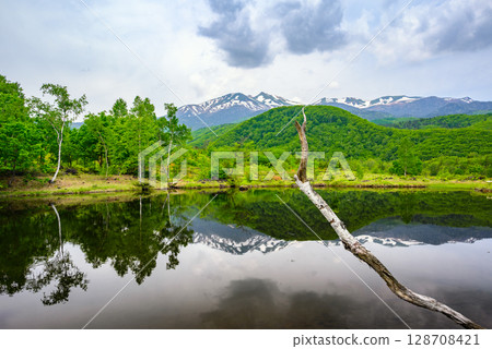 [Upside-down Mount Norikura] Maimenoike Pond in early summer [Norikura Plateau] 128708421
