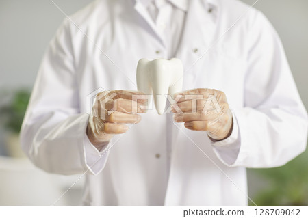 Dentist Doctor Or Nurse Holding Tooth Model In Hospital Dentist Doctor Or Nurse Holding Tooth Model In Hospital 128709042