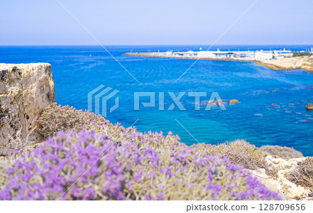 Photo of blue sea, sky and purple flowers on the island of Cyprus Photo of blue sea, sky and purple flowers on the island of Cyprus 128709656