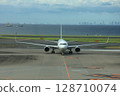 Arrival at Haneda Airport 128710074