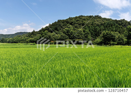Refreshing countryside Refreshing countryside 128710457