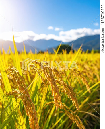 AI image: Golden ears of rice 128710553