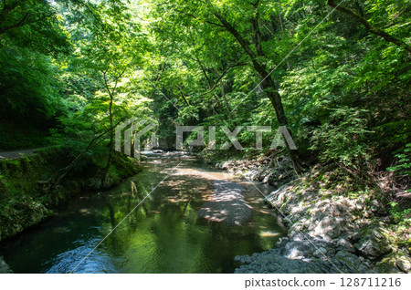 Summer in Taishaku Gorge: A clear stream surrounded by greenery and sunlight filtering through the trees 128711216