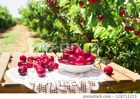 ripe juicy cherries in a white bowl on a lace napkin on the tableTatsiana Yatsevich 128711223