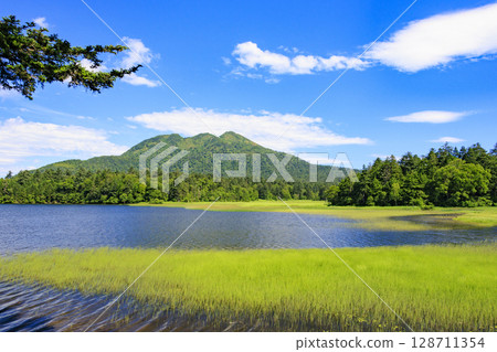尾瀨之夏：盛開的日本萱草、從大江濕地到尾瀨湖 128711354