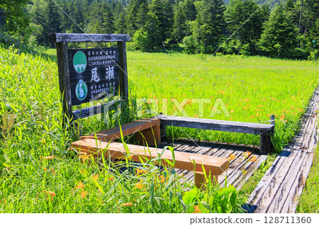 尾瀨之夏：盛開的日本萱草、從大江濕地到尾瀨湖 128711360