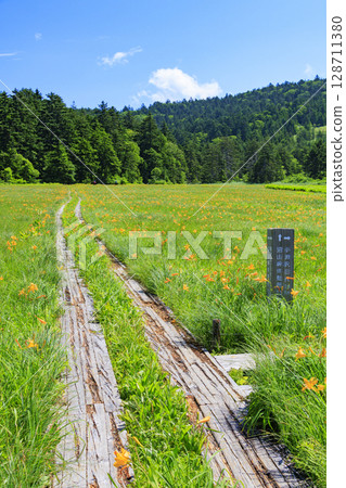尾瀨之夏：盛開的日本萱草、從大江濕地到尾瀨湖 128711380
