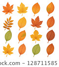 Autumn leaves 128711585