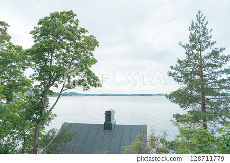 [Tampere, Finland] Lake Lauhaniemi 128711779