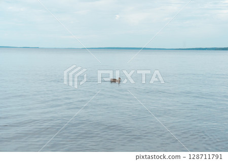 [Tampere, Finland] Lake Lauhaniemi 128711791