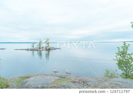 [Tampere, Finland] Lake Lauhaniemi 128711797