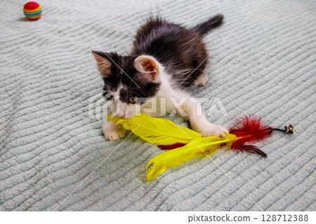 Beautiful kitten playing with a toy on a bed Beautiful kitten playing with a toy on a bed 128712388