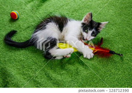 Beautiful kitten playing with a toy on a bed 128712390