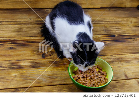 Kitten eating his food from ceramic bowl on wooden floor Kitten eating his food from ceramic bowl on wooden floor 128712401