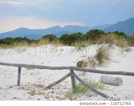 A sand dune at the beach Spiaggia La Cinta in San Teodoro, Olbia, Sardinia 128712768