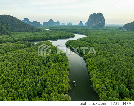 Drone view Mangrove forest trees in Thailand. 128713479