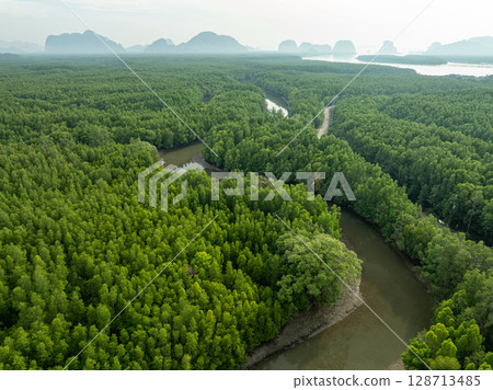 Drone view Mangrove forest trees in Thailand. Drone view Mangrove forest trees in Thailand. 128713485