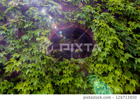 Ivy-covered brick buildings in Kurashiki | A historic streetscape decorated with greenery 128713850