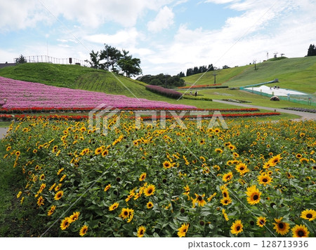 初夏的箱館山(滋賀縣) 初夏的箱館山(滋賀縣) 128713936