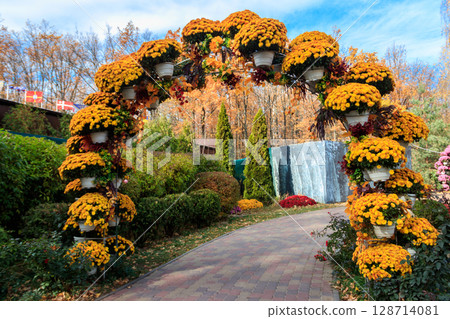Beautiful arch of blooming chrysanthemums in a park Beautiful arch of blooming chrysanthemums in a park 128714081