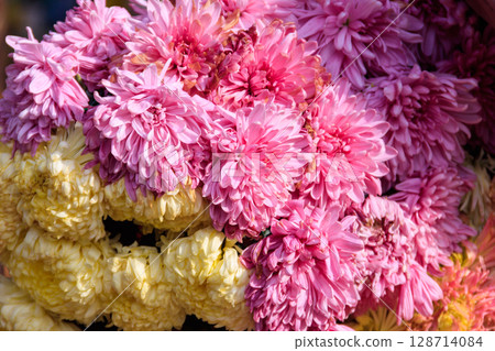 Background of the beautiful colorful chrysanthemum flowers 128714084