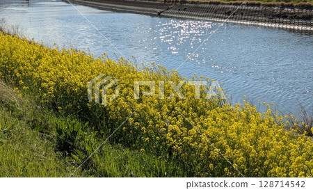 Rape flowers and rivers 128714542