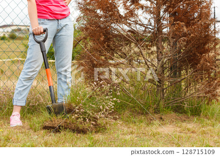Woman digging hole in garden 128715109