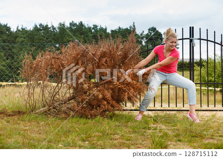 Woman removing pulling dead tree Woman removing pulling dead tree 128715112
